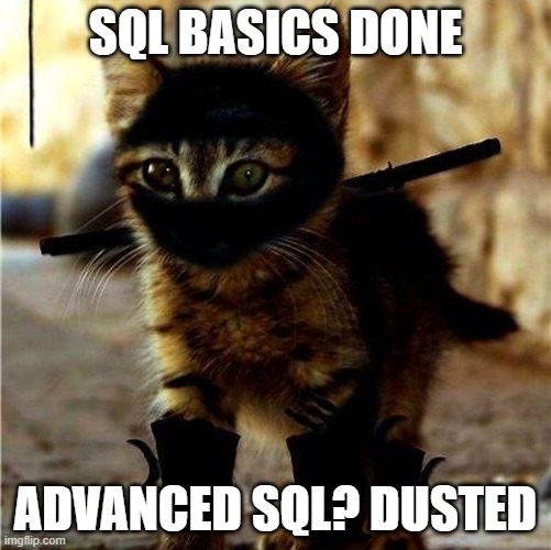 Mème SQL